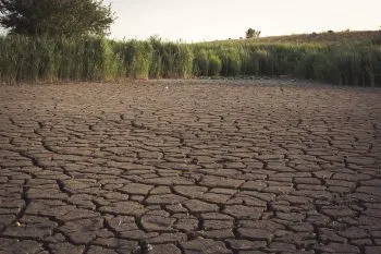 En Irak, lago Sawa se seca por múltiples factores
