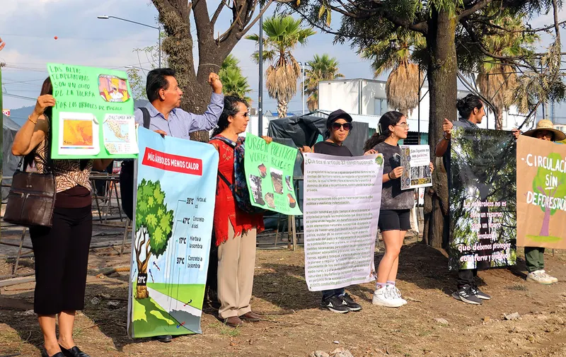 amalucan-protesta-por-derribo-de-arboles