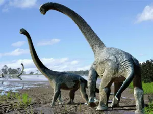 Descubren una nueva especie de dinosaurio de cuello largo en Australia