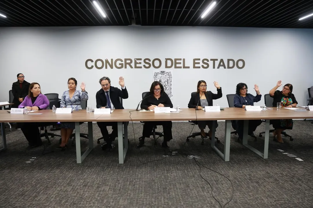 Congreso Pue Comision Personas Situacion Vulnerabilidad