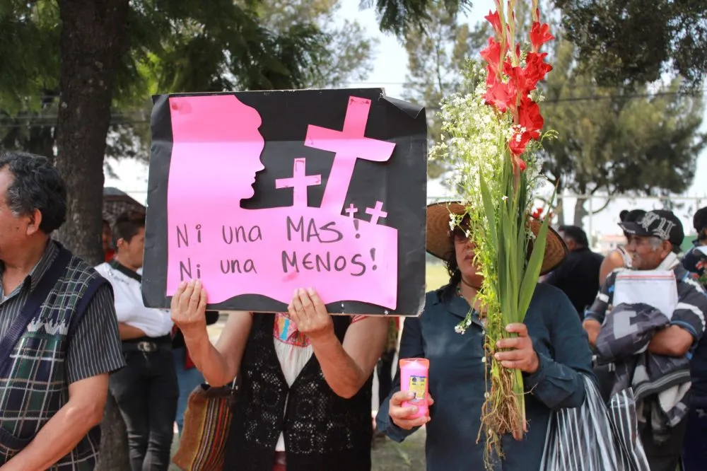 Feminicidios Homicidios Dolosos