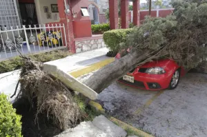 Protección Civil pone en marcha operativo ante condiciones climatológicas