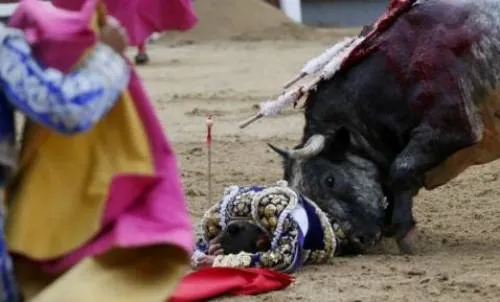 Torero David Galván sufre fractura de la cabeza del radio izquierdo, en Feria de San Isidro