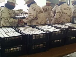 Decomisan media tonelada de cocaína y 57 kilos de heroína en Sonora