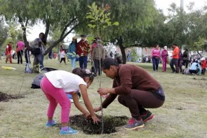 Comuna reforesta y libera peces en Laguna de Chapulco