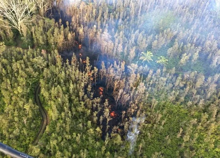 RÃ­o de lava en el bosque