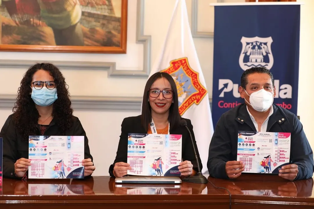 INMOVILISADORES
