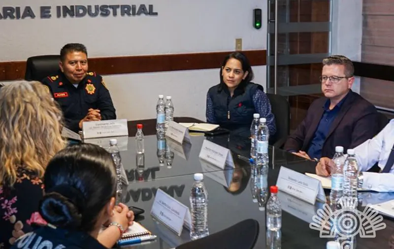 Seguridad Pública