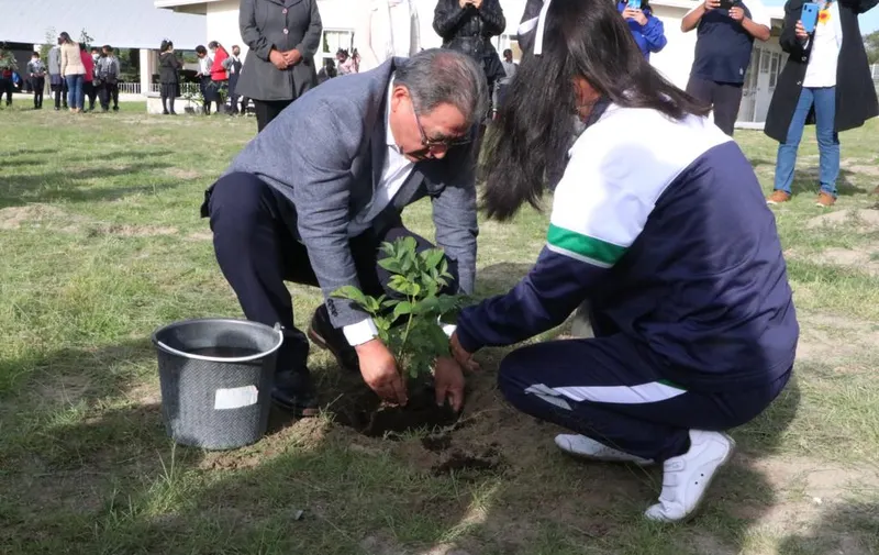Imagen del artículo