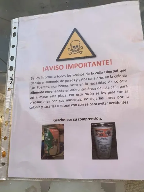 En la colonia Las Fuentes envenenan a animales
