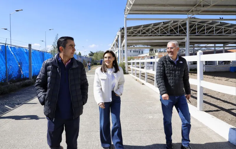 Imagen 6