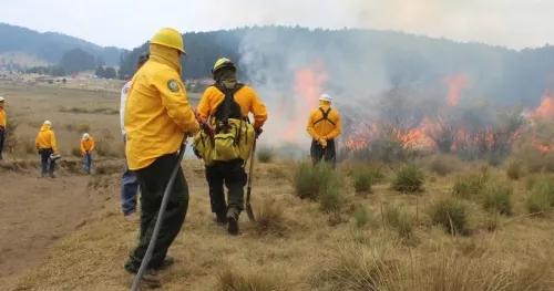 99% de los incendios forestales son causados por el hombre