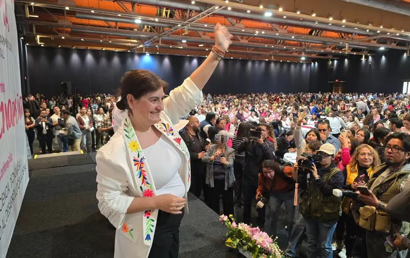 celina-pena-guzman-foro-morena