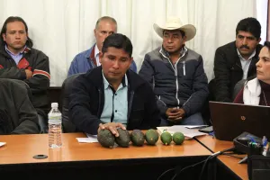 Puebla con potencial para alcanzar mejor nivel de producción de aguacate
