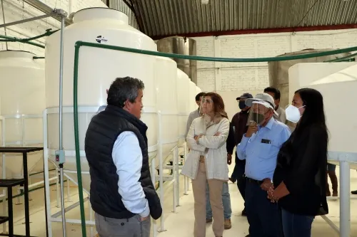 Busca Desarrollo Rural fortalecer el maguey pulquero en la Sierra Norte