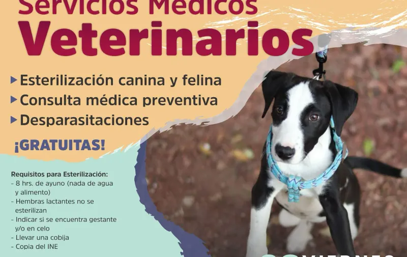 Foto: Especial