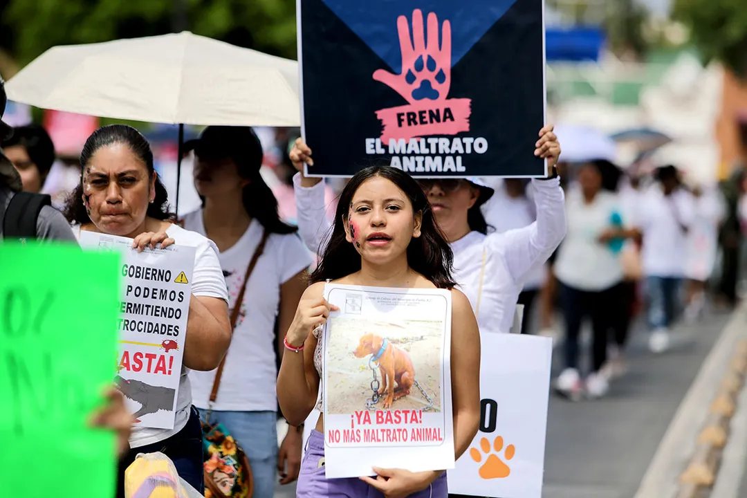 Manif Contra Maltrato Animal