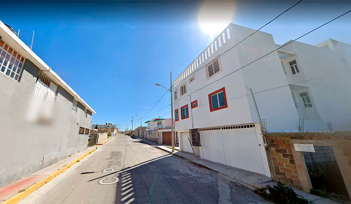 Pino Suarez 1621 Totimehuacan