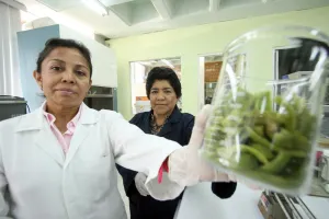 En BUAP se diseña nuevo método para eliminar colorante de aguas residuales