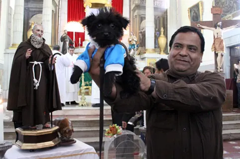 Prevalece tradición de bendecir a los animales
