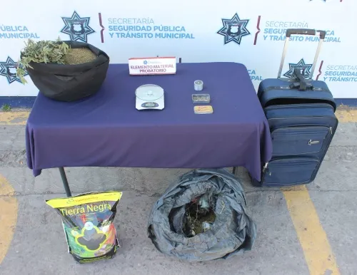 Aseguró Policía Municipal de Puebla alrededor de siete kilogramos de posible marihuana