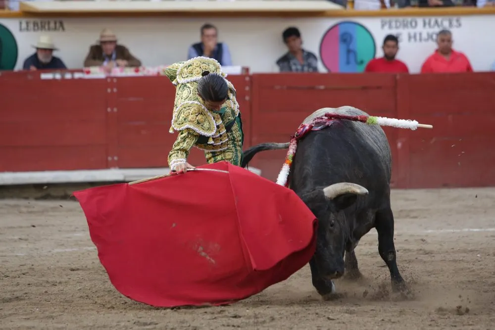 Defiende líder del Congreso estatal corridas de toros en Puebla