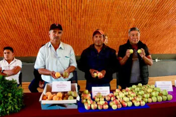 Presentan en Puebla el catálogo, tianguis y capacitación sobre el chile en nogada, en el marco de su temporada 2024