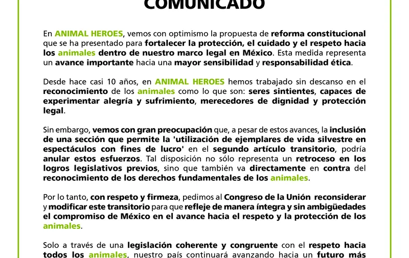 Animal Heroes alerta sobre contradicción en reforma constitucional que podría comprometer la protección de animales silvestres