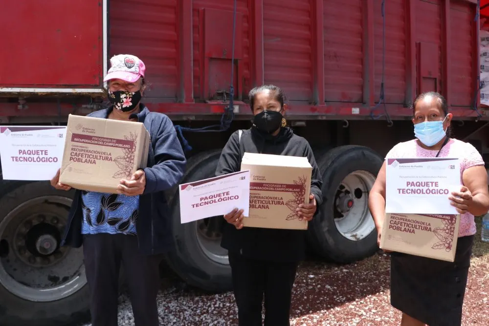 Entrega Desarrollo Rural 336 paquetes tecnológicos para productores de café