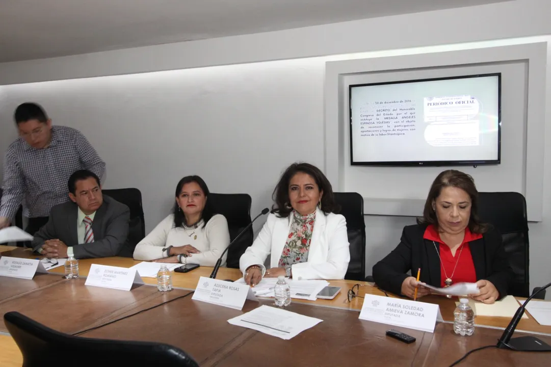 Comisión de Cultura