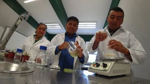 Universitarios de Agricultura UTTECAM crean trampa adherente contra insectos plaga en cultivos