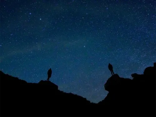 Captan misteriosas señales de radio desde galaxia distante