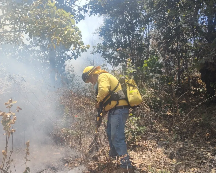Combatientes forestales