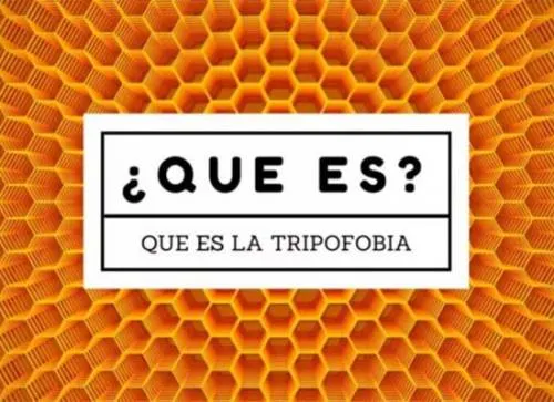¿Por qué algunas personas tienen tripofobia?