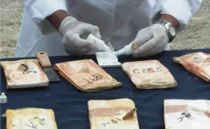 Piden en Bélgica enjuiciar a farmacéutica ligada con narco mexicano