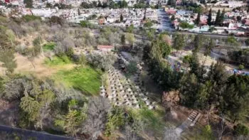 Puebla creará cinturón verde con 10 mil árboles para reducir calor, contaminación e inundaciones