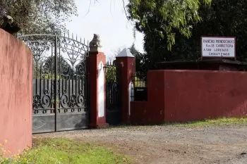 Se apoyará el libre tránsito alrededor de finca propiedad de Raúl Salinas: Barbosa