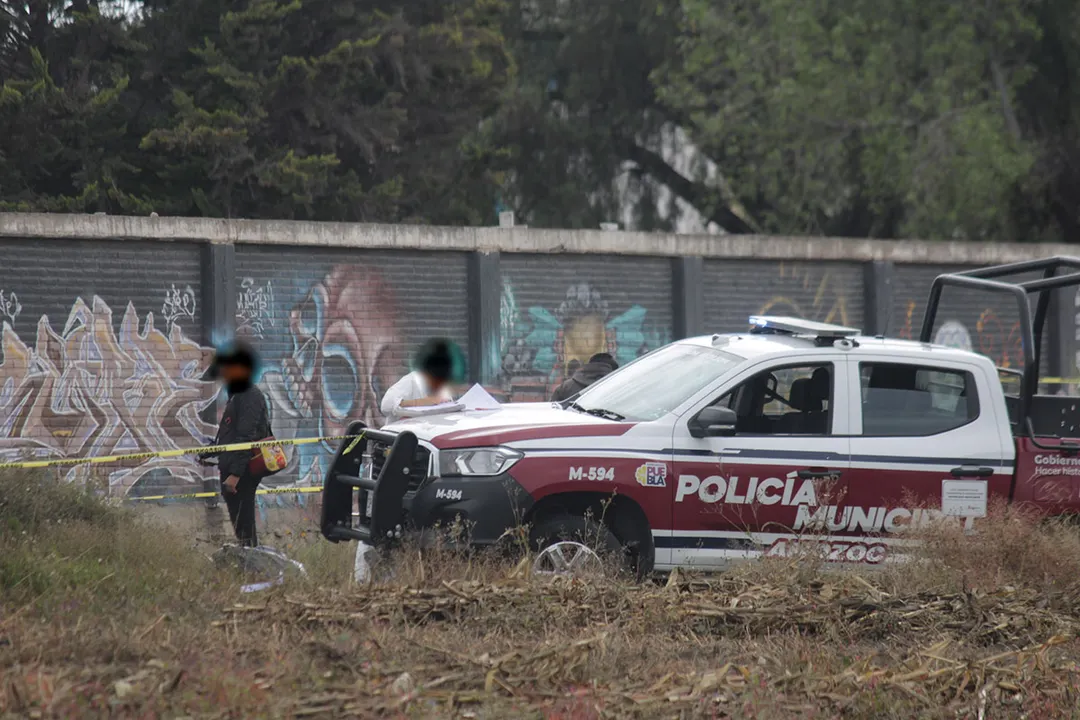 Chachapa Cuerpos Descuartizados
