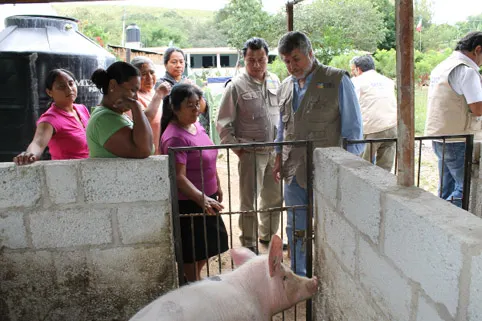 Beneficiarias del POPMI mantienen exitosamente sus proyectos productivos