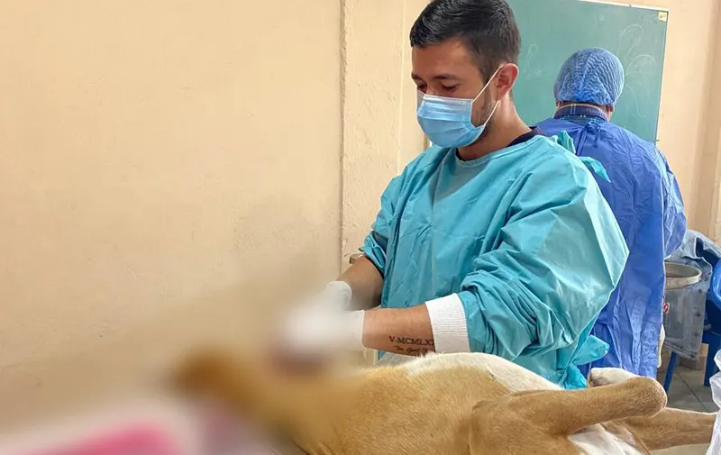 Se realiza con éxito la Primera Jornada de Esterilización Gratuita en Texmelucan 