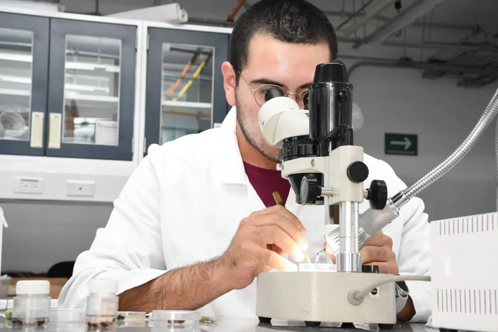 CU2, campus de formación en tecnologías de alta especialidad