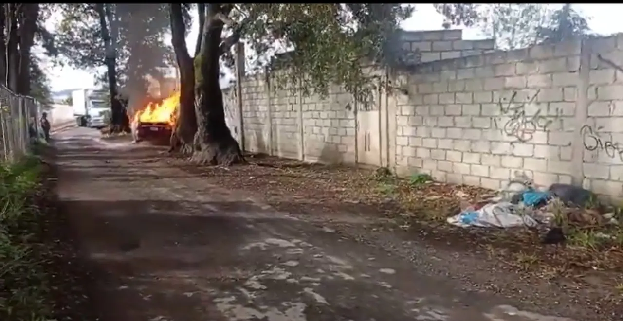 Foto: Captura de pantalla