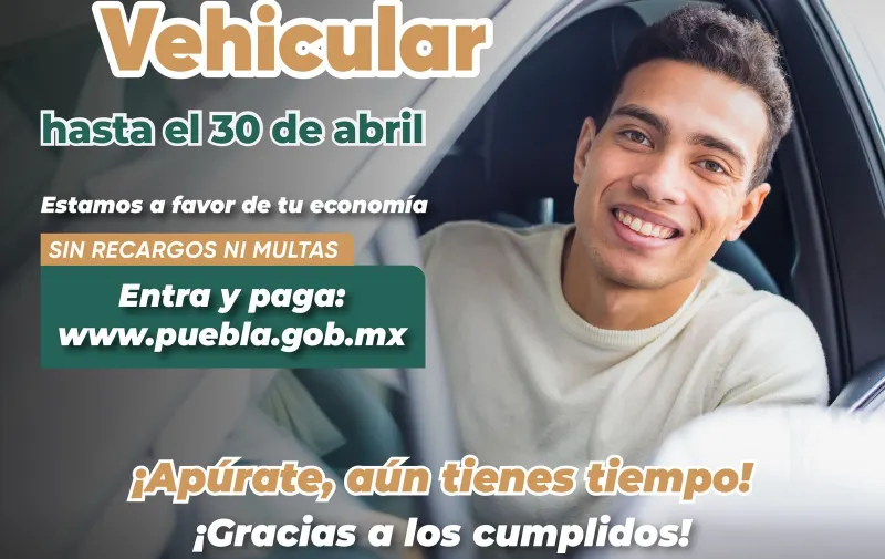 Imagen del artículo